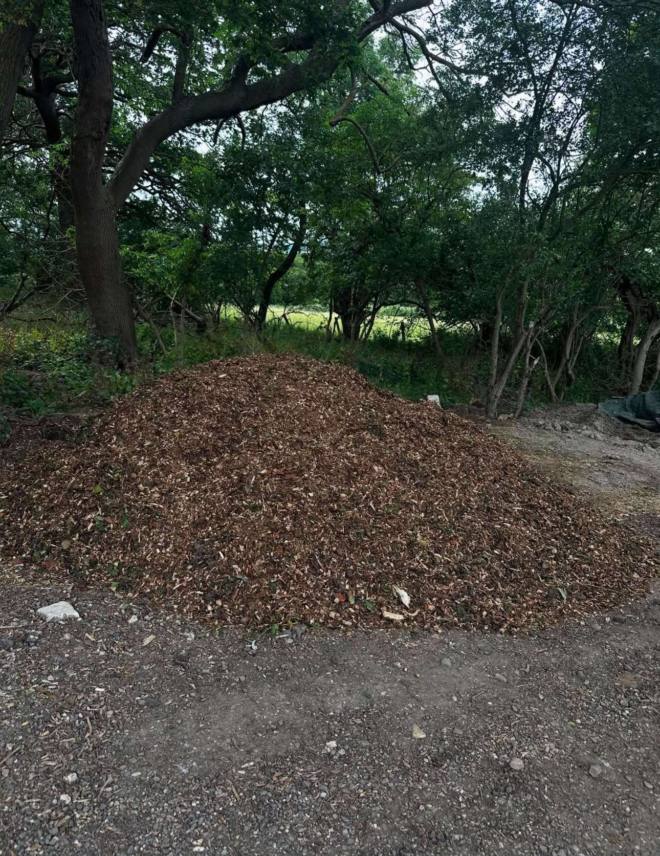 Woodland mulch from recycled tree surgery waste